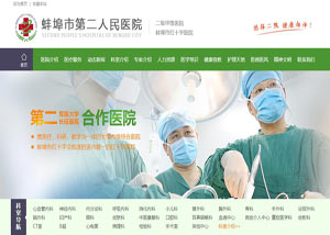 网站建设策划案例_蚌埠市第二人民医院